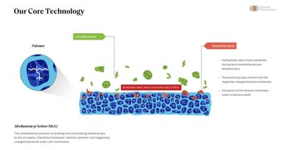 Illustration of Polaroid Therapeutics' antimicrobial polymer. (PRNewsfoto/Polaroid Therapuetics')