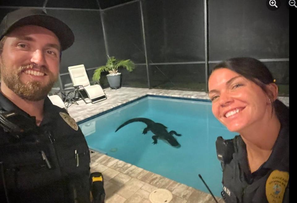 When a 10-foot-long alligator made himself at home in a Venetian Bay swimming pool, it was trapper Curtis Lucas who nabbed him.