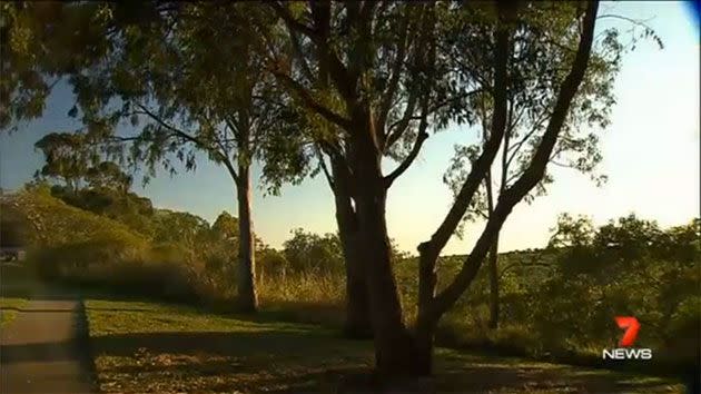 A witness says he saw someone emerge from the mud of a swamp on Friday night. Photo: 7 News