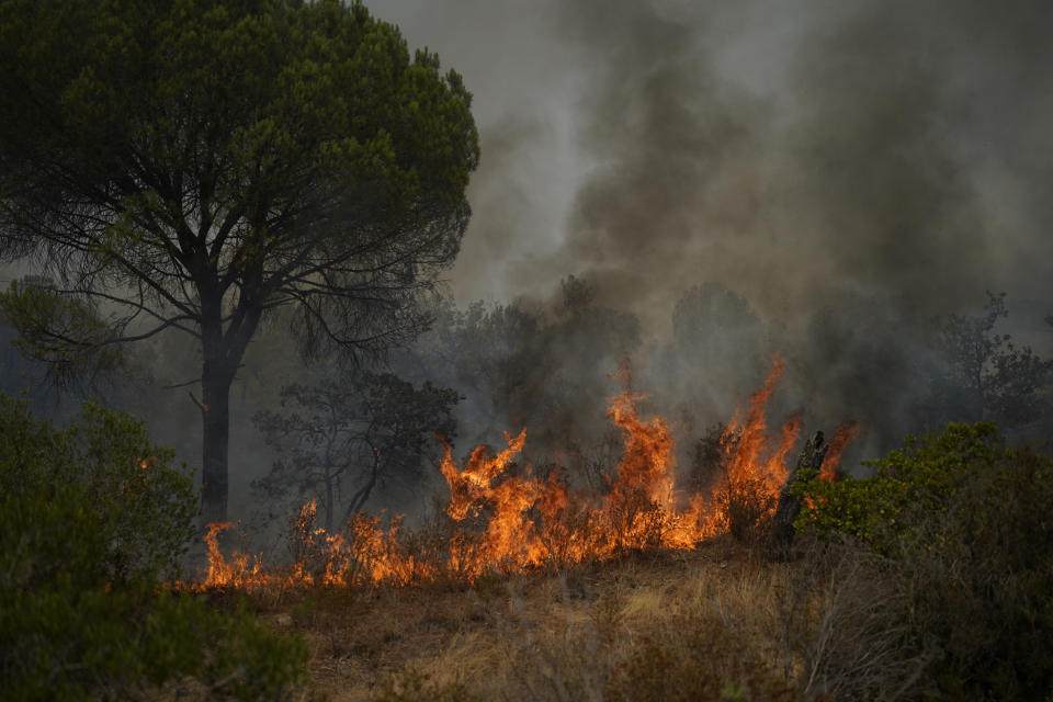 A fire burns a forest near Le Luc, southern France, Tuesday, Aug. 17, 2021. Thousands of people were evacuated from homes and vacation spots near the French Riviera as firefighters battled a fire racing through surrounding forests Tuesday, the latest of several wildfires that have swept the Mediterranean region.(AP Photo/Daniel Cole)