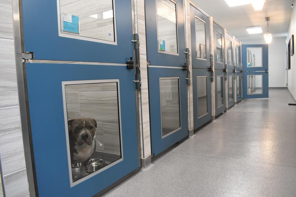 The pet hotel at Montgomery Animal Hospital has 30-40 kennels and is open from 7 a.m. to 5:30 p.m. Monday-Friday. An overnight monitor takes over at 5:30 p.m. and makes rounds every couple of hours until 7 a.m. At 8 a.m., pets are let out for bathroom breaks.