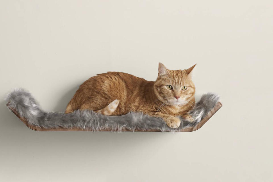 <p>Give your kitty a comfy overhead view of the family's activities with this fluffy shelf. </p> <p><strong>Buy it!</strong> Vista Cat Perch, $199.00, <a href="https://shareasale.com/r.cfm?b=1337322&u=1772040&m=87575&urllink=https%3A%2F%2Fwww.tuftandpaw.com%2Fproducts%2Fvista-cat-perch&afftrack=PEO12GiftsforYourFavoriteFelinetoCelebrateNationalCatDaykbender1271PetGal12968853202110I" rel="sponsored noopener" target="_blank" data-ylk="slk:TuftandPaw.com;elm:context_link;itc:0;sec:content-canvas" class="link ">TuftandPaw.com</a></p>