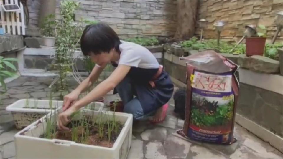 超療癒！蔡健雅宅在家迷上「以菜種菜」