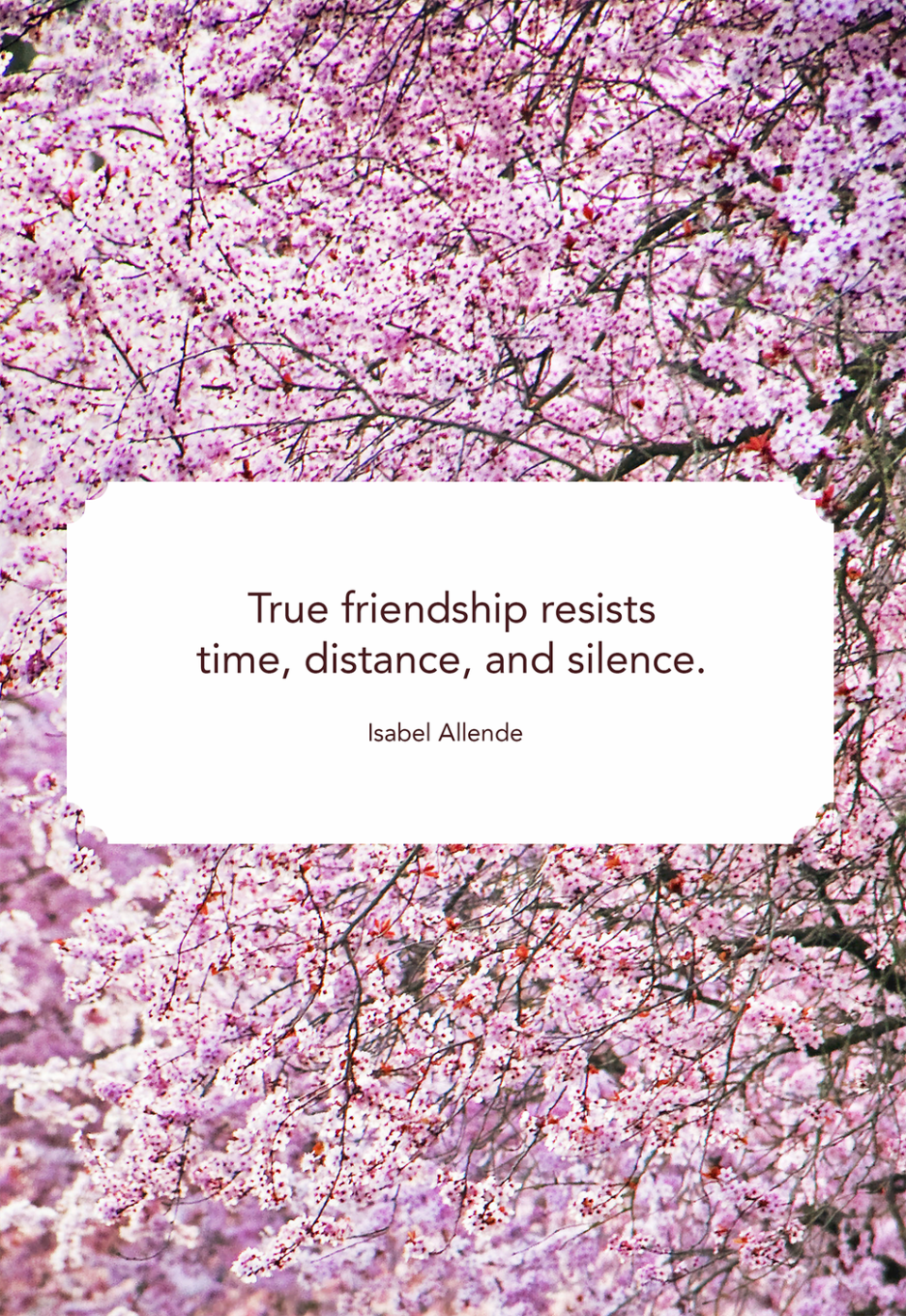 best friend quotes distance