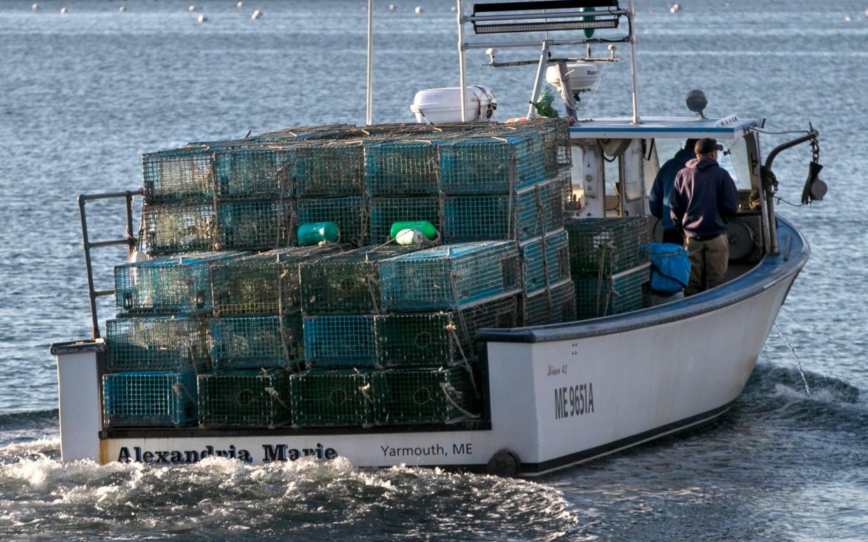 A  lobster boat heads out to set traps off Portland, Maine - Robert F Bukaty/AP