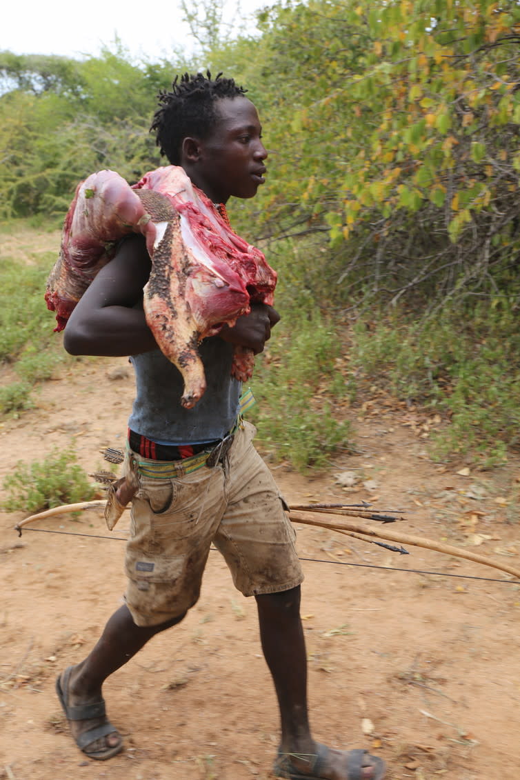 <span class="caption">Hadza hunter walking back to camp with a dispatched porcupine flung over his shoulder.</span> <span class="attribution"><span class="source">Jeff Leach</span>, <span class="license">Author provided</span></span>