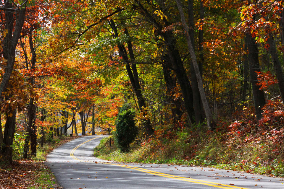 Take a Leaf-Peeping Drive