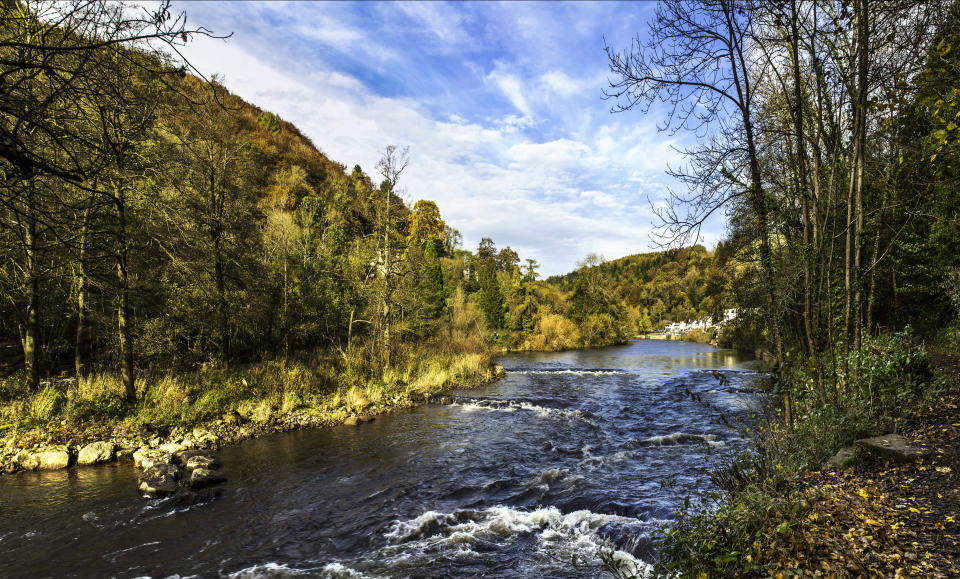 <p><b><b>Foodies should head to the Forest of Dean this autumn, which will host the Forest Showcase Food Festival on October 1, celebrating food, music and art. A great choice for families, there will be a mouthwatering array of hot food, real ale and cider, plus parent and child cookery lessons. [Photo: Visit England] </b></b></p>
