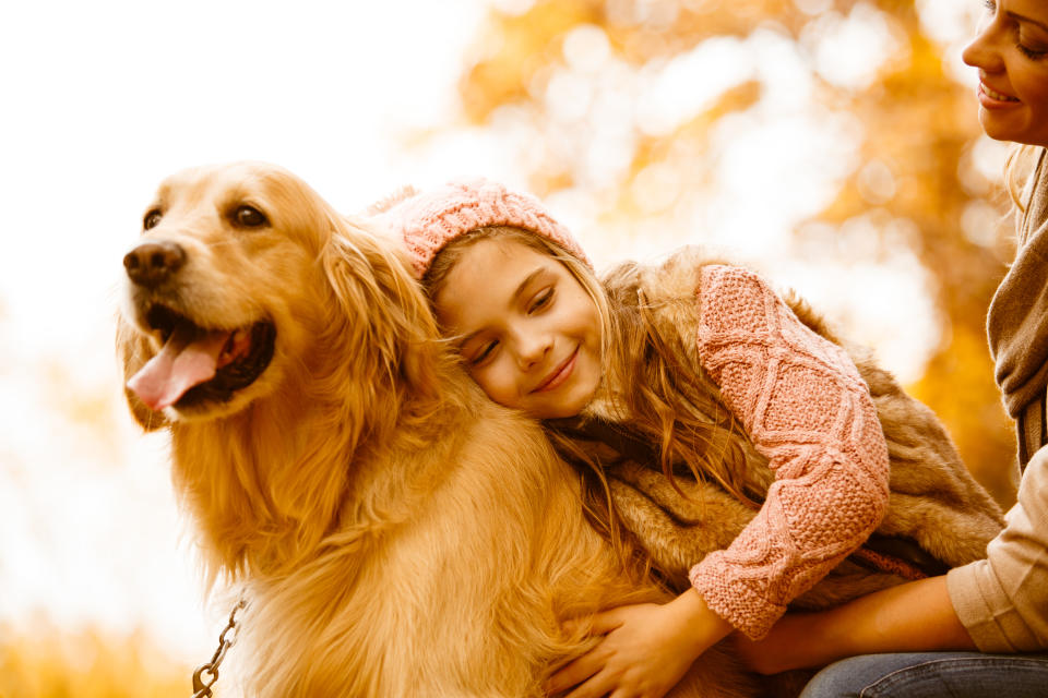 Vollwertiges Familienmitglied: Kinderfreundliche Rassen wie der Golden Retriever gehören zu den beliebtesten Hunden in Deutschland. (Bild: Getty Images)