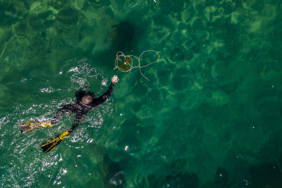 A scuba-diving volunteer collect trash during World Ocean Day event in the Mediterranean ancient Caesarea's Roman-period port, Israel, Friday, June 10, 2022. Divers visiting the ancient seaport of Caesarea on Israel's Mediterranean coast occasionally find treasure, but on Friday they searched for trash. Twenty six scuba-diving volunteers removed around 100 pounds (45 kilograms) of garbage from between the sunken pillars and submerged ruins of the historic site as part of a United Nations World Oceans Day initiative. (AP Photo/Ariel Schalit)