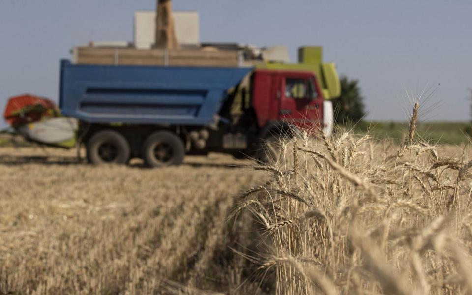 Farmers harvest grain in Odessa - where Ukraine's largest sea ports are located - on July 04, 2022 - Anadolu Agency