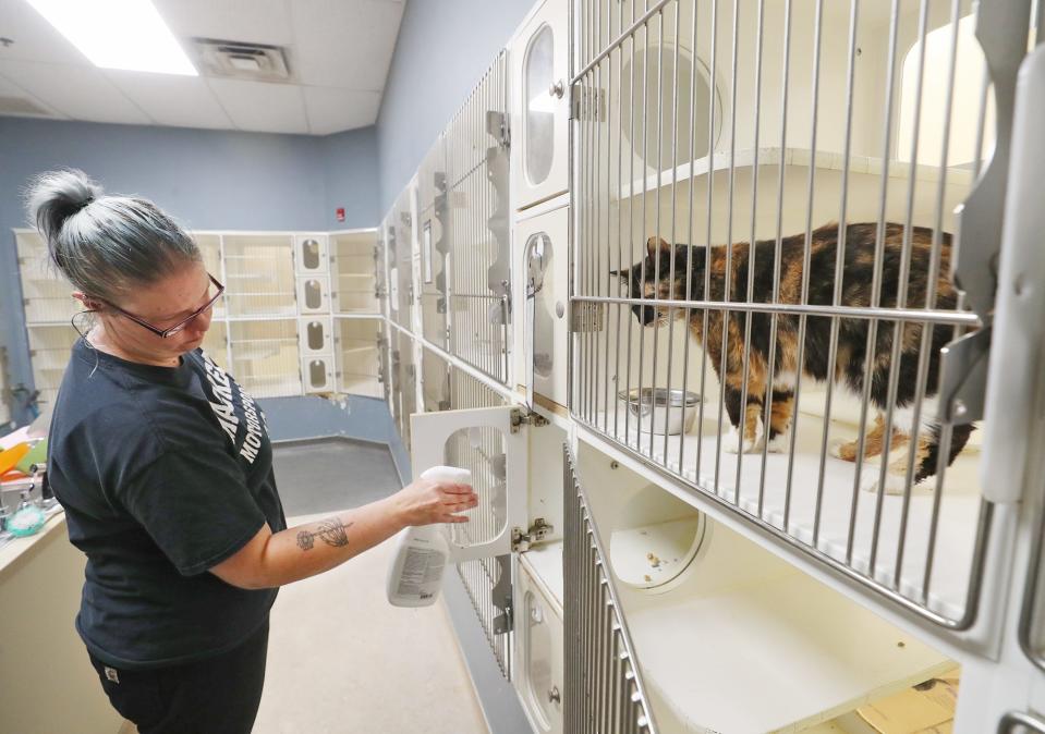 Kennel attendant Kristina Petroki cleans the cages in the cat area of the Summit County Animal Control facility in Akron. The facility has had many more stray dogs than cats since the pandemic.