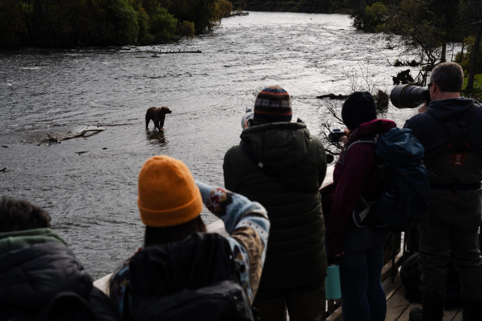 Visitors watch a bear from the viewing platforms at Brooks Falls as the animal prepares to fish. (Photo for The Washington Post by Sophie Park)