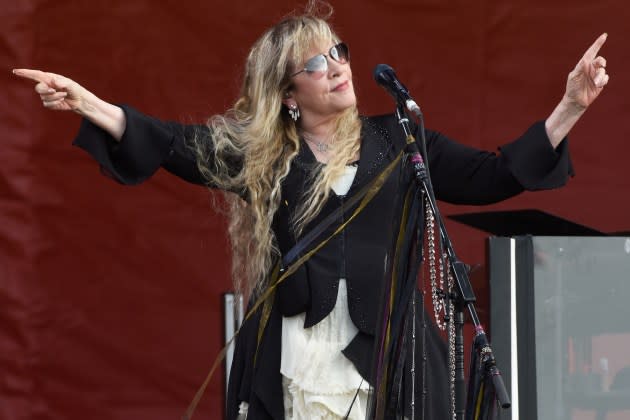 Stevie nicks 2024 tour Stevie nicks 2024 tour.jpg - Credit: Tim Mosenfelder/WireImage