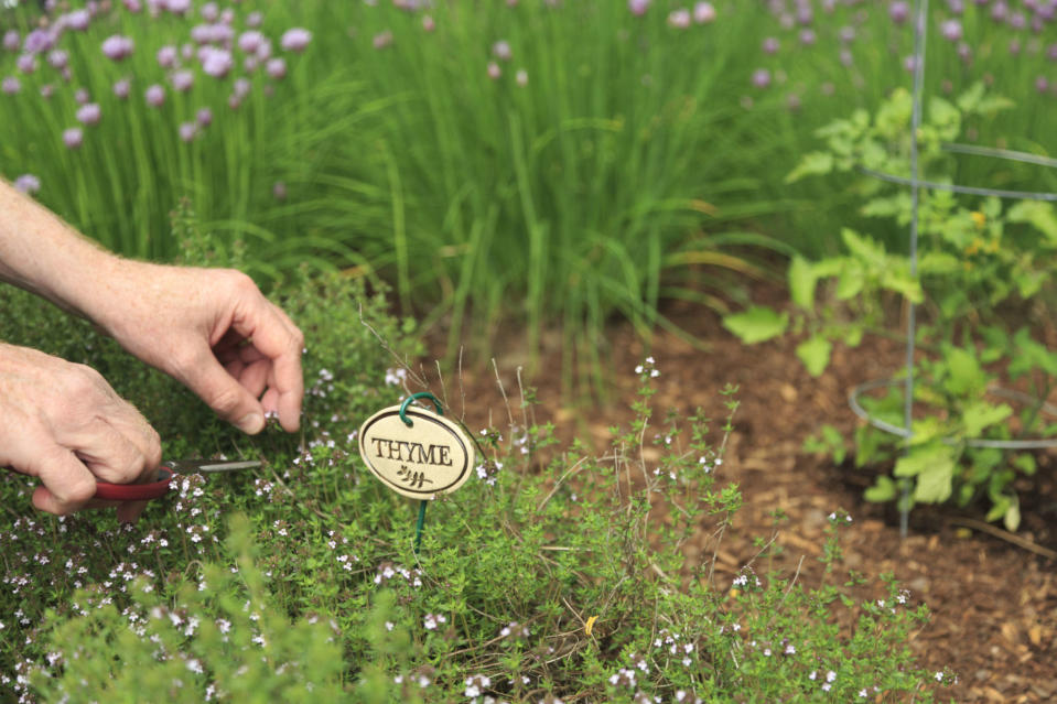 1) Grow (and eat) heart-healthy herbs.