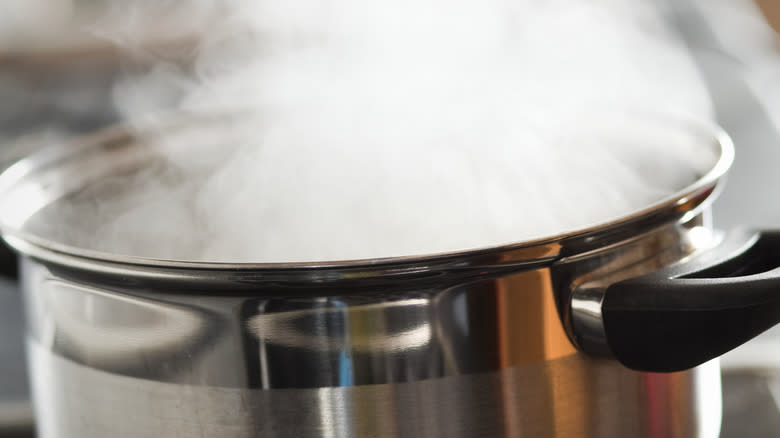 Steaming pot on stove