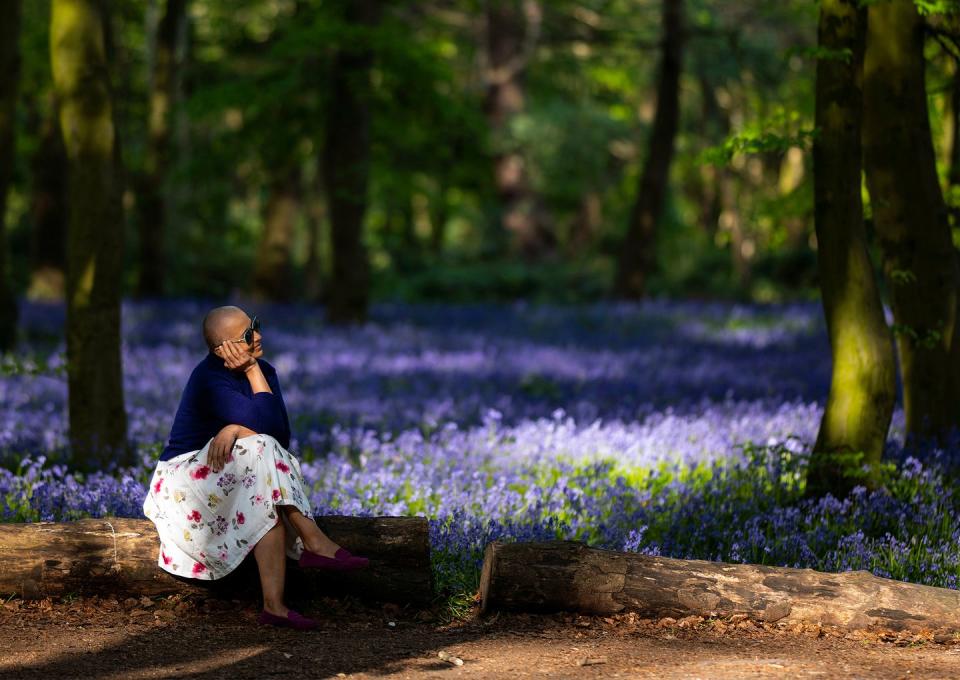 how to plant bluebells