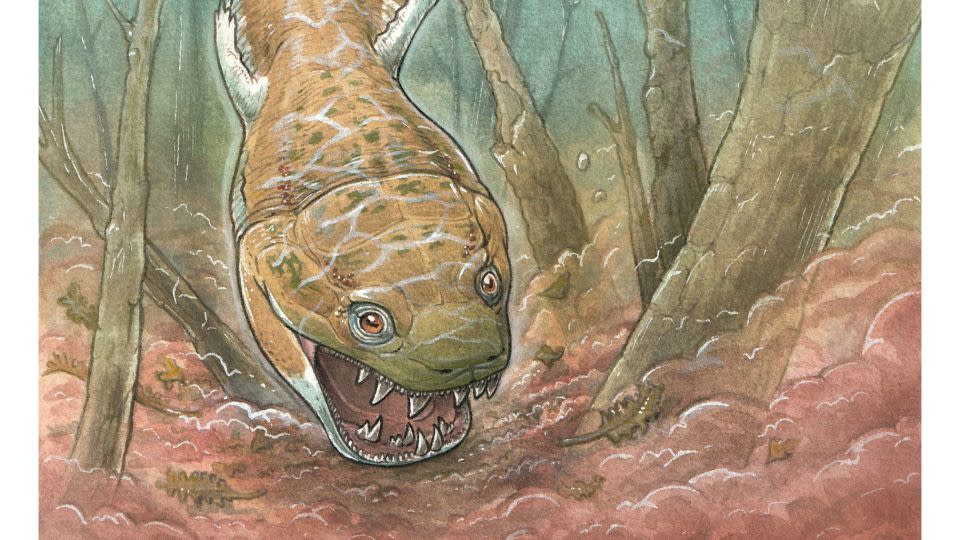 An illustration depicts Gaiasia jennyae lurking at the bottom of a swamp, poised to grab its prey. - Gabriel Lio/Courtesy Field Museum