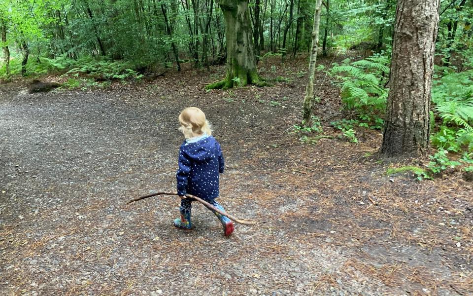 Child carrying stick through woodland - Katherine Lawrey