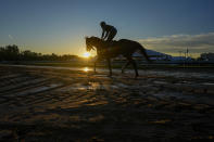 An outrider rides a horse on the track as horses work out ahead of the 149th running of the Preakness Stakes horse racing weekend at Pimlico Race Course, Thursday, May 16, 2024, in Baltimore. (AP Photo/Julio Cortez)