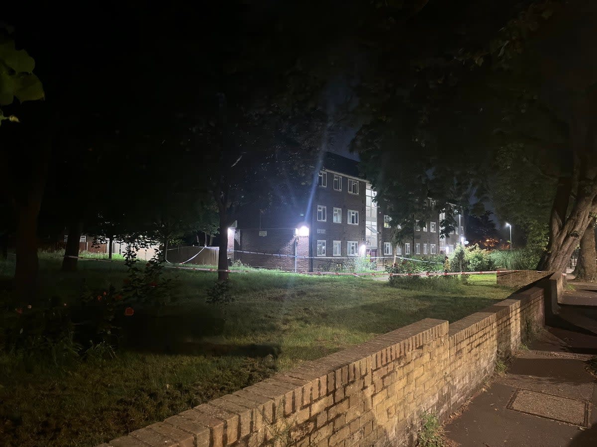 Police found a stabbed teenager in Dulwich on Sunday (999London)