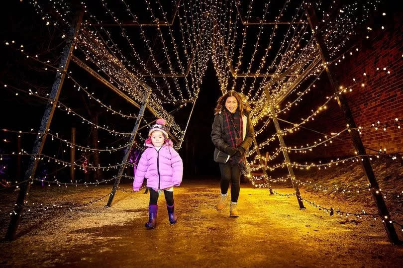 The Alnwick Garden light trail