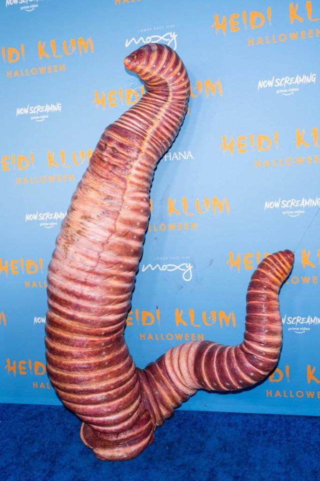HeidiKlum being interviewed as a worm last year still feels like a fe