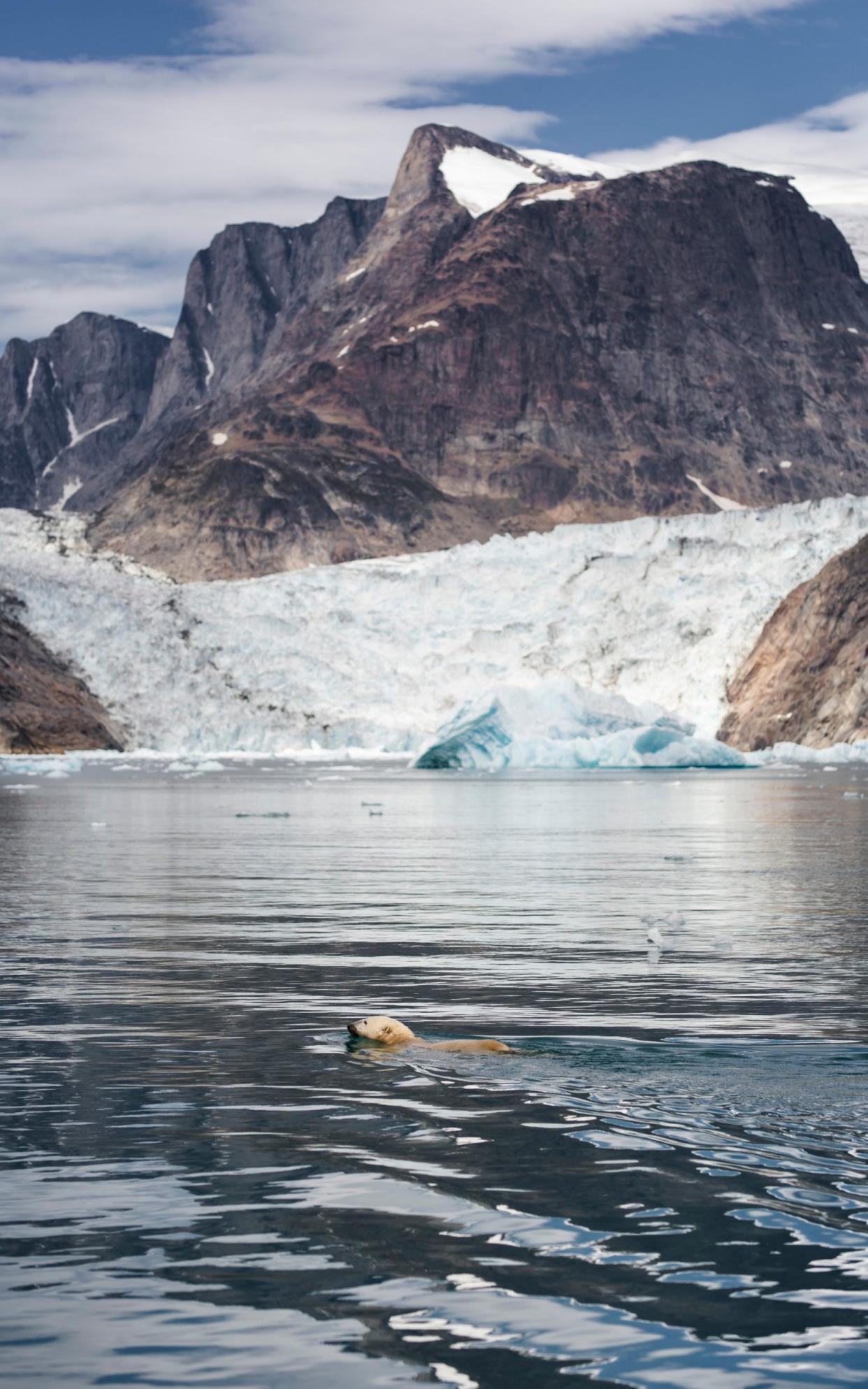 There are concerns that an underwater curtain could interfere with wildlife around the glaciers