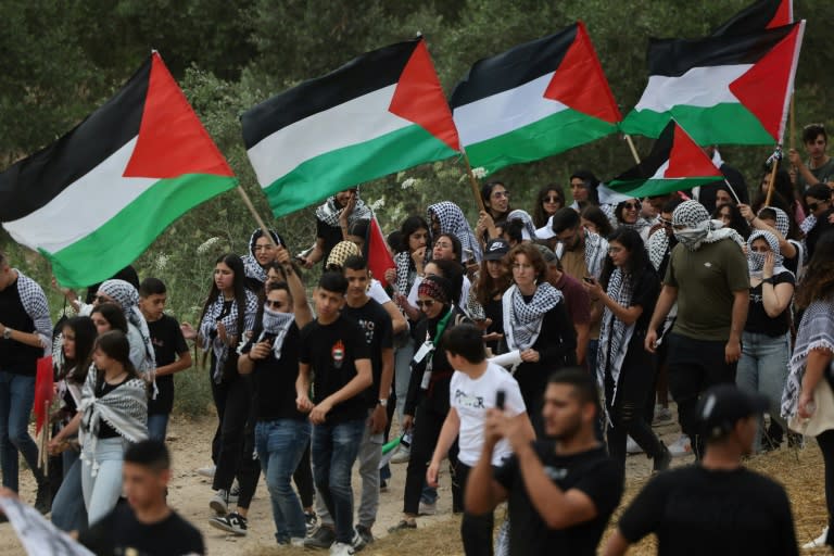 Arab-Israeli protesters wave Palestinian national flags during a rally near Israel's northern city of Shefa Amr (AHMAD GHARABLI)