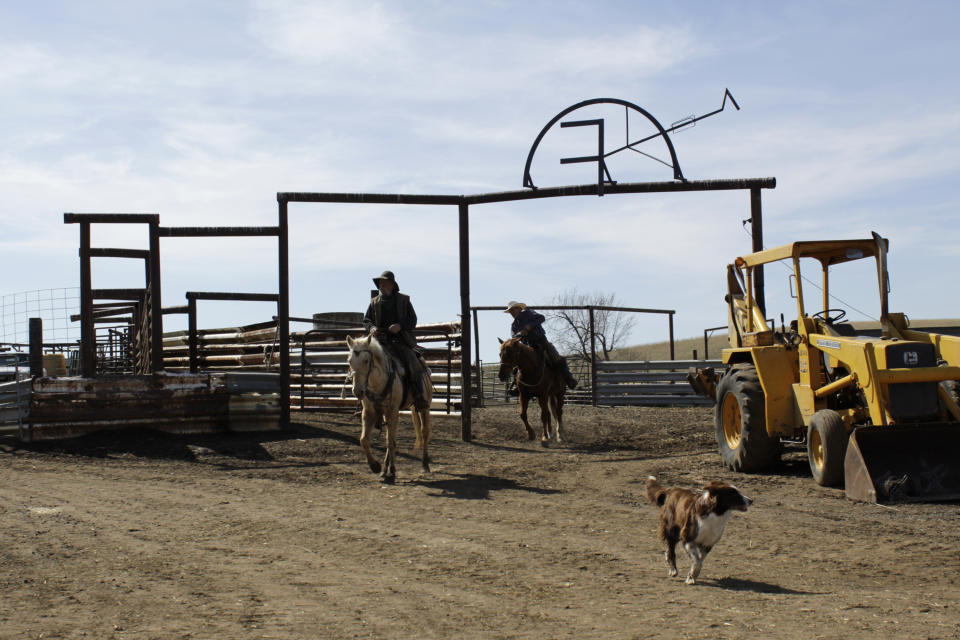 FILE - Cattle rancher Mike Filbin, left, and his friend, Joe Whitesell, prepare to herd cattle at Filbin's ranch in Dufur, Ore., on March 20, 2020. Oregon's reputation for political harmony is being tested as a Republican walkout in the state Senate continues for a third week. The boycott could derail hundreds of bills and approval of a biennial state budget, as Republicans and Democrats refuse to budge on their conflicting positions over issues including abortion rights, transgender health and guns. (AP Photo/Gillian Flaccus, File)