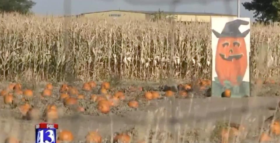 A 3-year-old boy was accidentally left&nbsp;behind at&nbsp;this corn maze in Utah, police said. (Photo: Fox13)