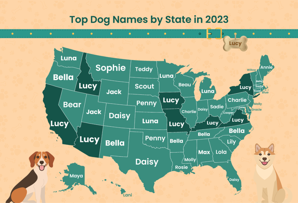 Bella ranked as the No. 1 dog name in North Carolina and several other states.