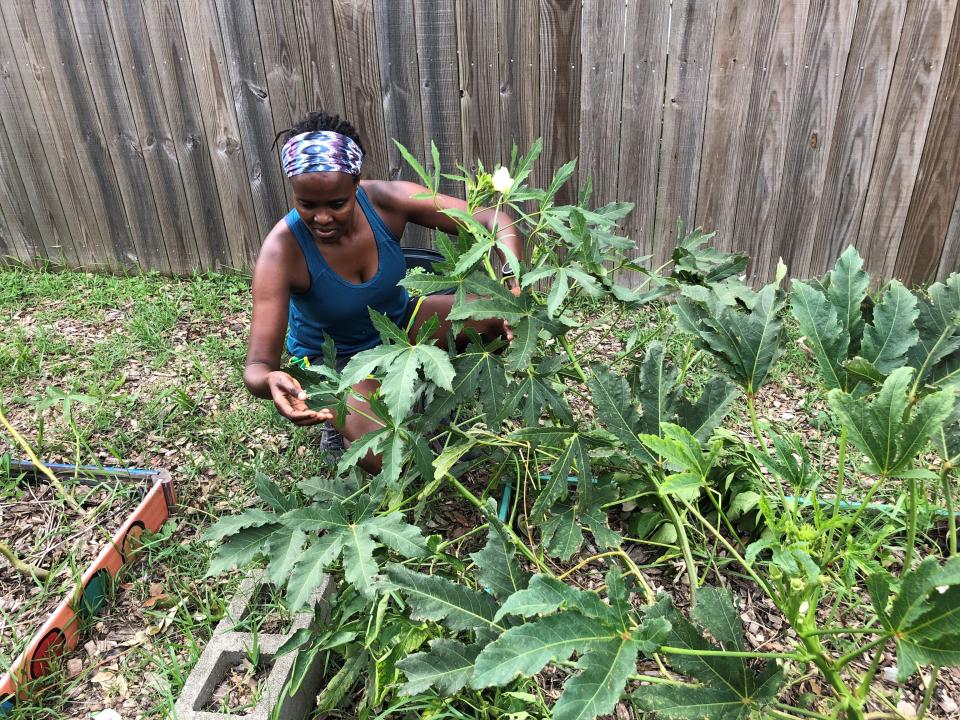 Jelagat Cheruiyot, a Tulane University professor and New Orleans resident, salvages produce from a Broadmoor Improvement Association community garden on Wednesday, Sept. 1, 2021, days after Hurricane Ida hit the city. Some of the food went to a nearby restaurant where it became part of free meals distributed to members of the community who were without electricity for days. (AP Photo/Kevin McGill)