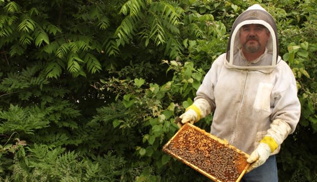 Keepers Of Bees (And A Legacy) At Kentucky's Walter T. Kelley Company