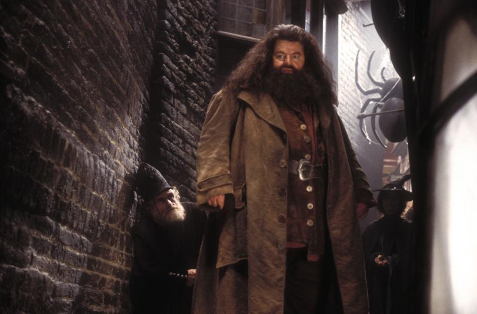 <p>Ruhig war es in den letzten Jahren hingegen um Robbie Coltrane, der in der "Harry Potter"-Reihe den gutmütigen Halbriesen Hagrid spielte. Das hatte seine Gründe ... (Bild: SAT.1 / Warner Bros. Ent.)</p> 