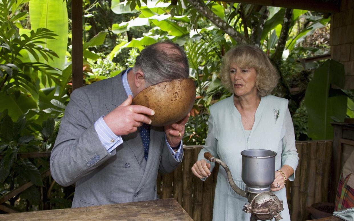 Prince Charles and the Duchess of Cornwall visit St Lucia in 2008 - Getty Images Europe