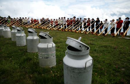 Alphorn blowers perform an ensemble piece on the last day of the Alphorn International Festival on the alp of Tracouet in Nendaz, southern Switzerland, July 22, 2018. REUTERS/Denis Balibouse