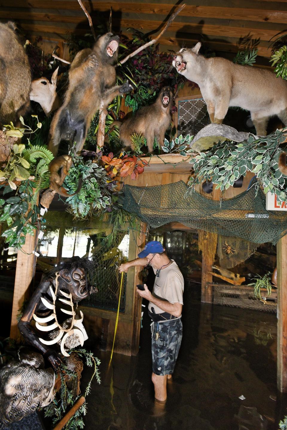 John Roush measures the waterline inside the taxidermy animal-filled dining room of Clark's Fish Camp in 2017 as he inspects the flooded restaurant for the first time since Hurricane Irma passed over the Jacksonville area.