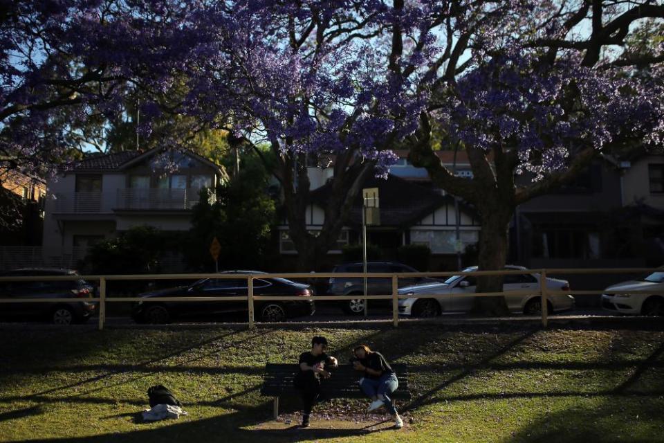 A couple sits under jacaranda trees at Kirribilli