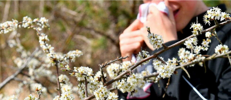 La saison des allergies au pollen a commencé, et elle dure de plus en plus longtemps. (Image d'illustration)  - Credit:FRANKHOERMANN/SVEN SIMON / SVEN SIMON / dpa Picture-Alliance via AFP