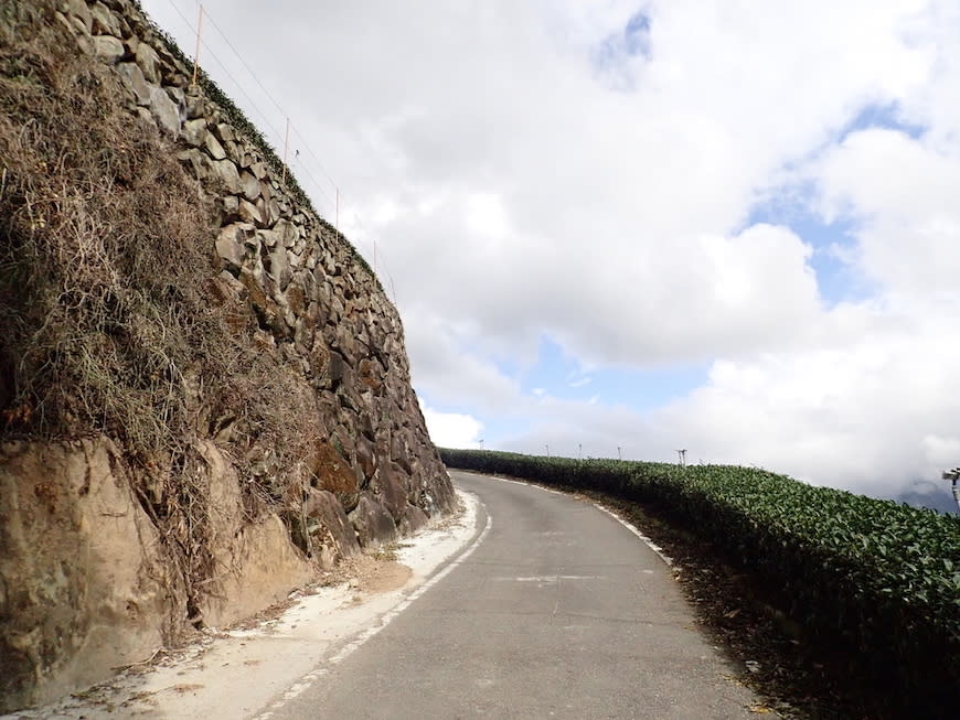 嘉義大風埕觀日峰＋油車寮步道