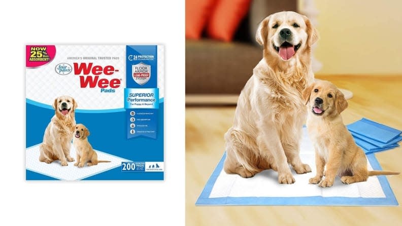 If your pup isn't potty trained, these pads will at least entice them to go on something disposable.