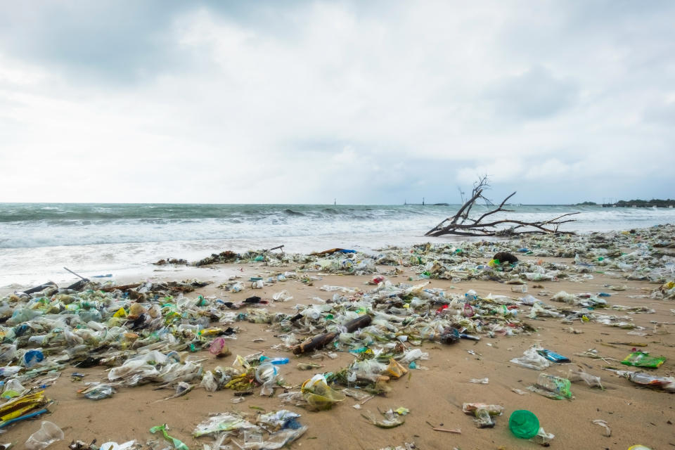 Zero Co's reusable containers will be made from plastics pulled from the ocean in Indonesia. Pictured is a beach in Bali littered with plastics.