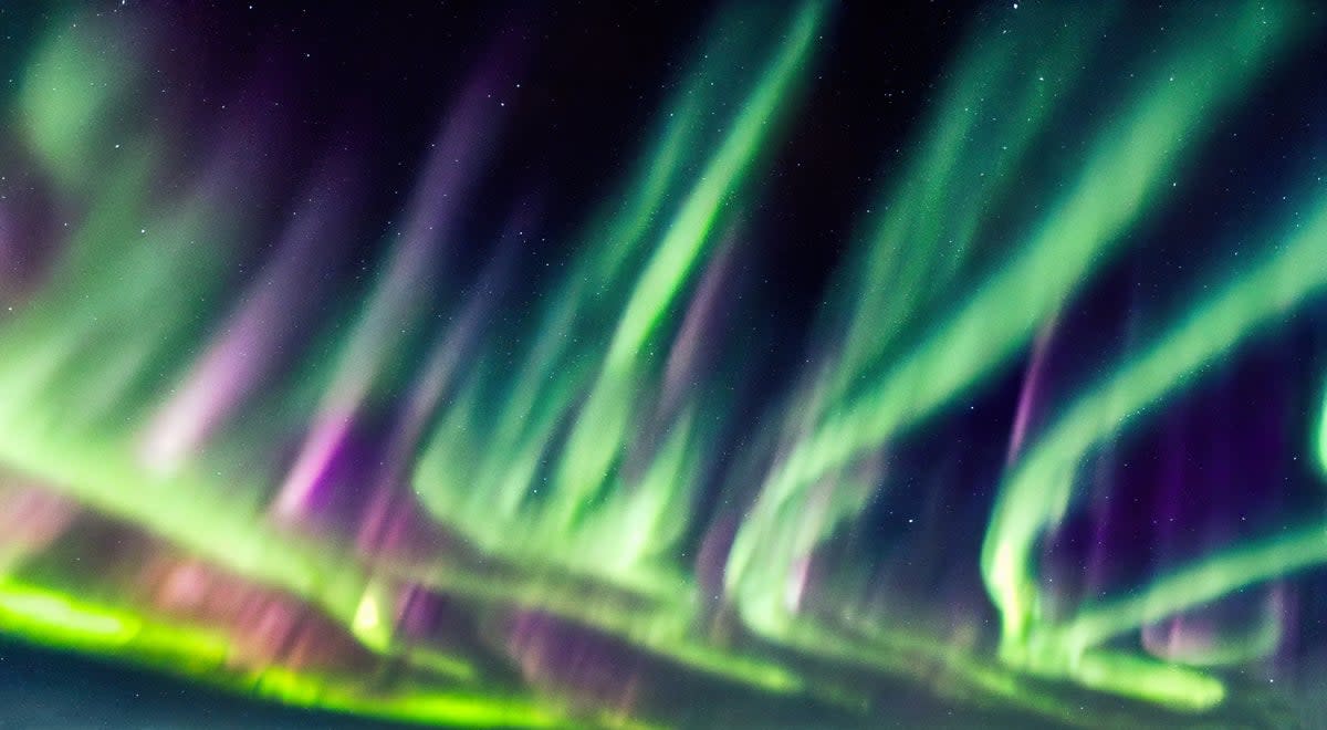 The northern lights aurora borealis    (Getty Images/iStockphoto)