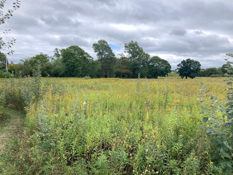 Beautiful fields at the Long Pasture Wildlife Sanctuary in Barnstable.