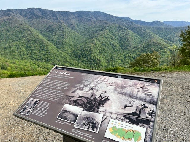 Signage shows how drastically an area once used for logging has changed at Great Smoky Mountain National Park.