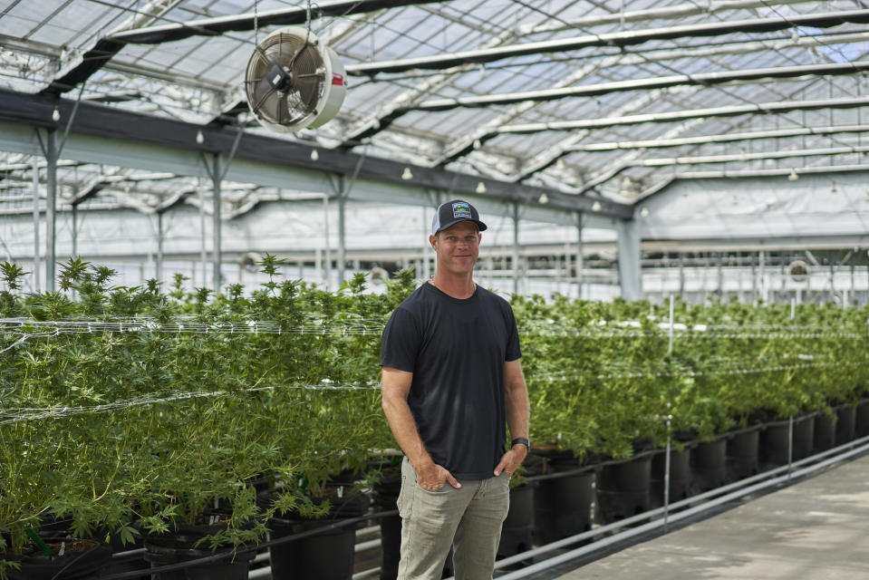 Graham Farrar en Glass House Farms, empresa que él dirige y opera invernaderos para el cultivo legal  de marihuana en California. (Philip Cheung for The Washington Post via Getty Images)