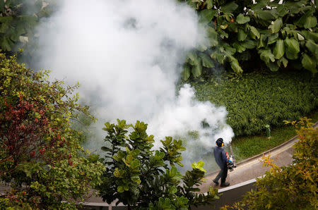 A contractor fogs a condominium garden in Singapore in an effort to kill mosquitoes, September 5, 2013. REUTERS/Tim Wimborne/File Photo