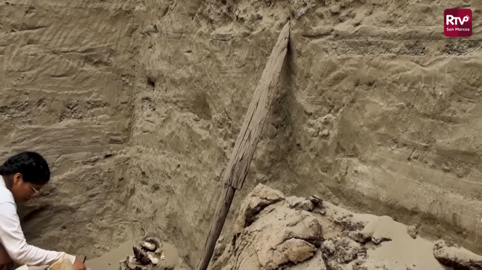 Part of the wooden oar found in the tomb.