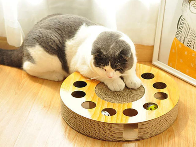 Keep Your Furry Friends Entertained With These Cat Toys